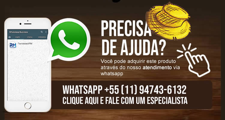 Cadeira e Coluna
